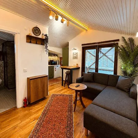 Nu 9 Unique Design, Private Terrace, Galata Apartment Istanbul